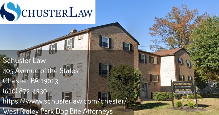 west ridley park, pa dog bite attorneys knightsbridge apartments